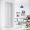 DQ Cassius 1800 X 230 Vertical Radiator White